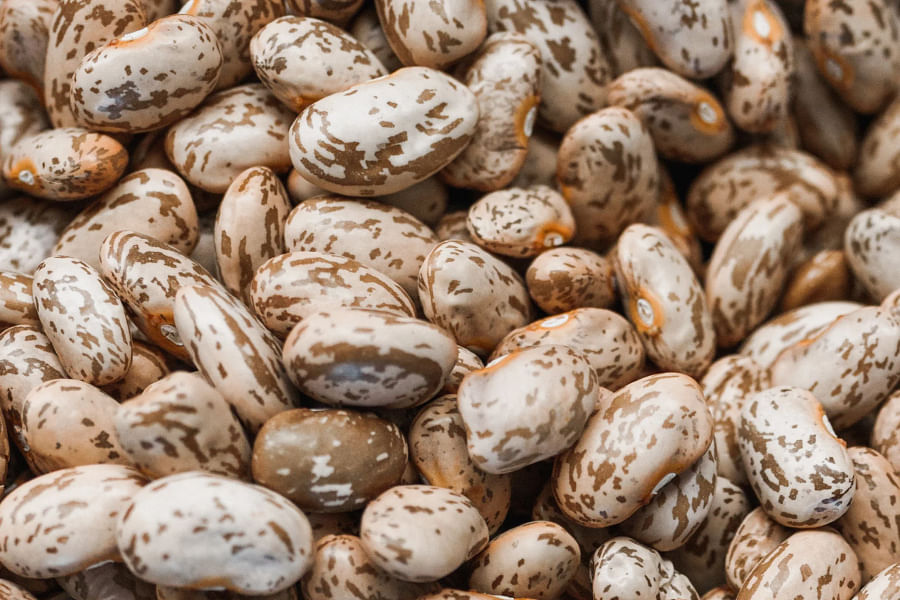 bulk grains and legumes